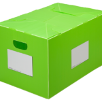 Classic PackAways Reusable Boxes - Green